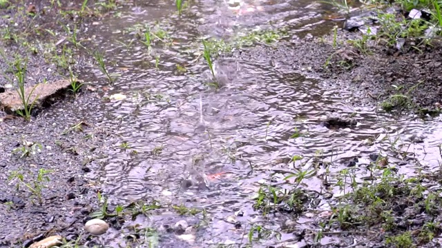 雨滴落在地面自然。视频素材