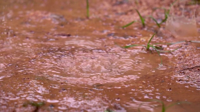 雨滴落在地面自然。视频素材