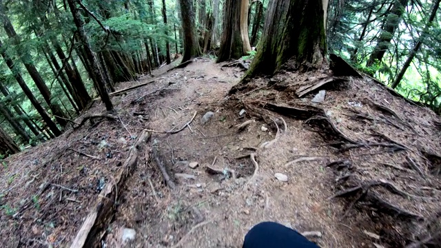 徒步旅行者沿着崎岖的斜坡下山视频素材