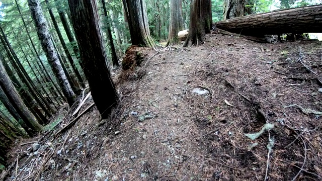 徒步旅行者沿着崎岖的斜坡下山视频素材