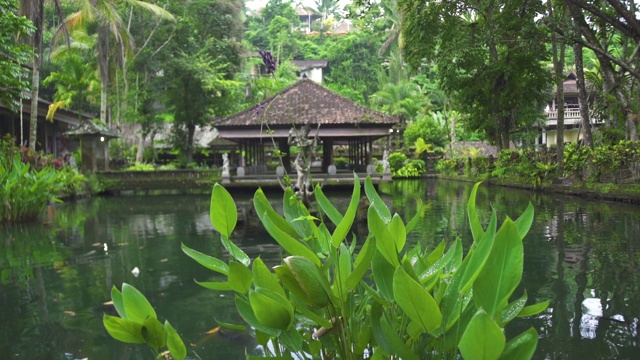 印度尼西亚的神雕像在水池塘在巴厘岛寺庙，印度尼西亚。传统的印尼印度教象征。古代雕塑宗教偶像。巴厘人的精神结构。亚洲文化视频素材