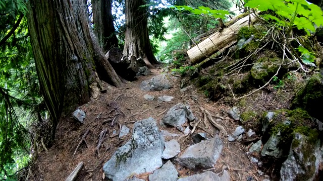 徒步旅行者沿着崎岖的斜坡下山视频素材