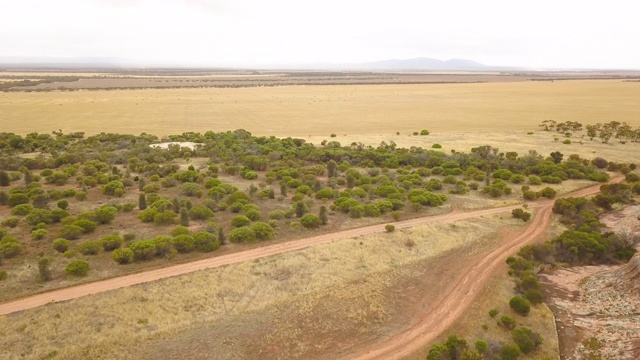 Gawler Ranges国家公园。澳大利亚南澳大利亚视频素材