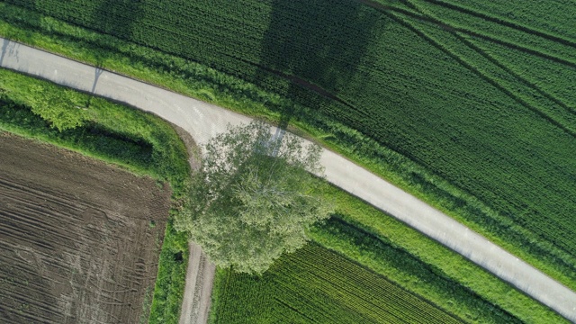 乡村道路鸟瞰图，道路交界处有树木和农田。法国，巴伐利亚，德国，欧洲。视频素材