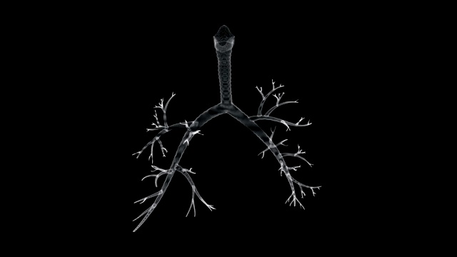 喉部、气管和支气管环的全息画面视频素材
