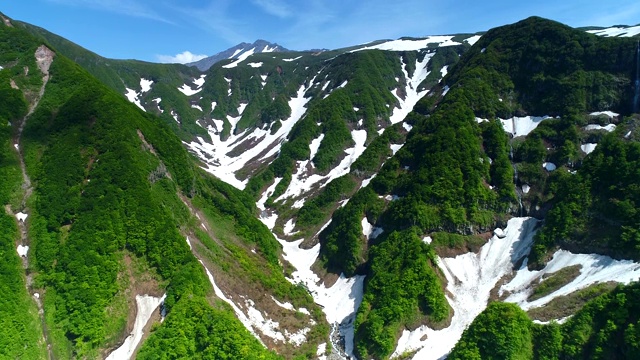 高角度俯瞰树木和山脉视频素材