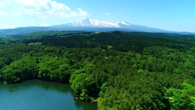 高角度俯瞰树木和山脉视频素材