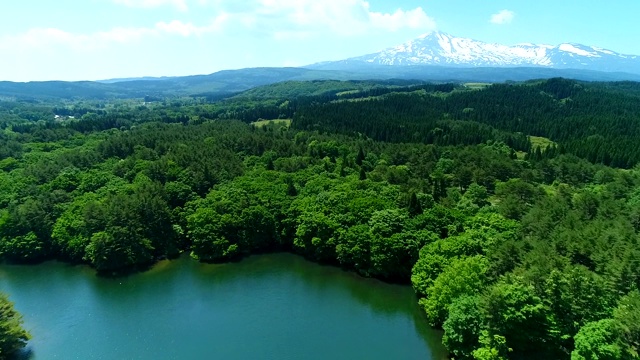 高角度俯瞰树木和山脉视频素材