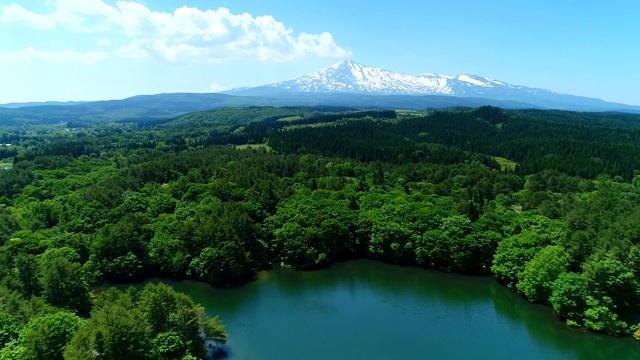 高角度俯瞰树木和山脉视频素材