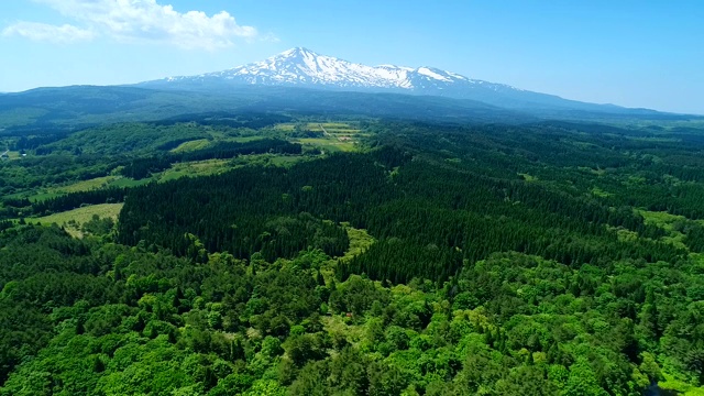 高角度俯瞰树木和山脉视频素材