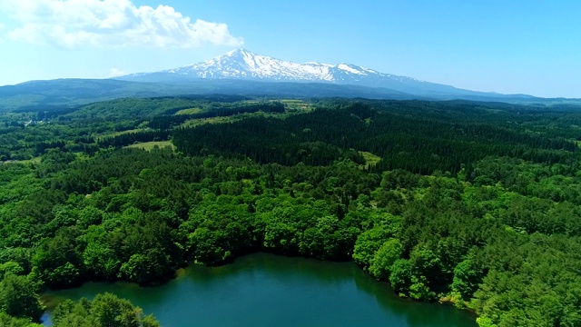 高角度俯瞰树木和山脉视频素材