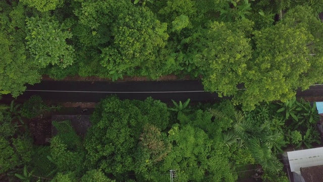 鸟瞰图汽车和摩托车在热带公路上行驶。无人机观看汽车和摩托车行驶在绿色的热带树木和植物的背景上。印尼巴厘岛热带雨林公路视频素材