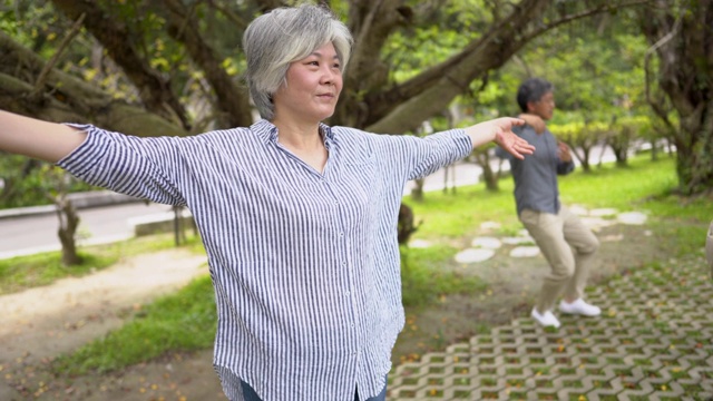 健康老年人太极日视频素材