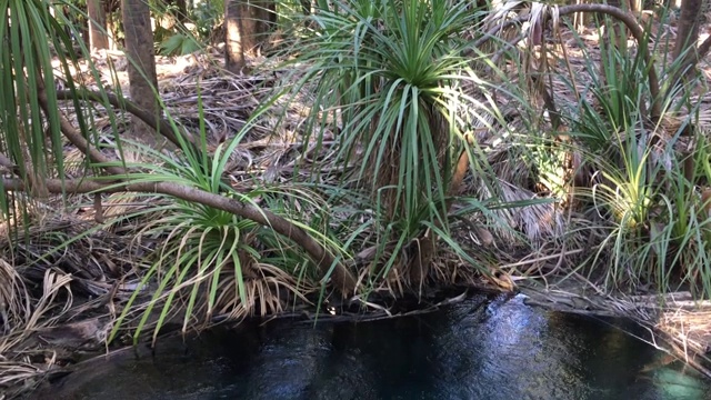 马塔兰卡温泉彩虹温泉视频素材