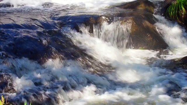 森林里瀑布里的水在岩石上流动视频下载