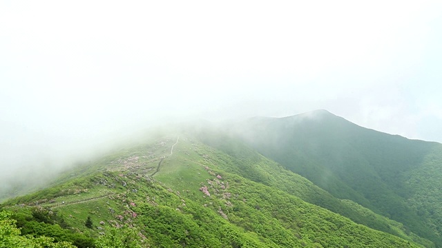 丹阳薄雾缭绕的释白山视频素材