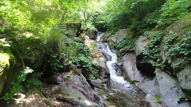 长白山的川洞谷视频素材