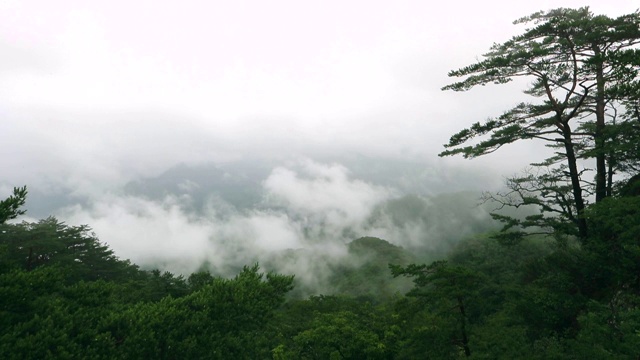 丹阳八大风景区之一的塞纳姆视频素材