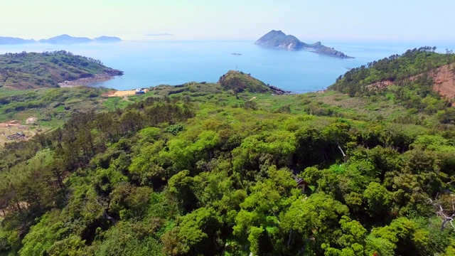 保宁大永道岛常绿森林视频素材