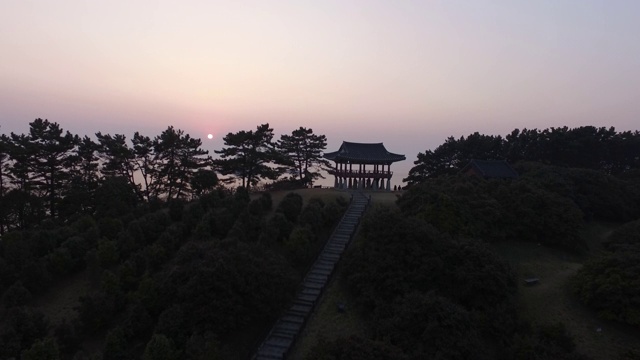 Seocheon Maryang-ri山茶花森林的日出视图视频素材