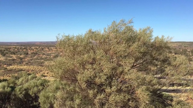 澳大利亚北领地的国王峡谷视频素材