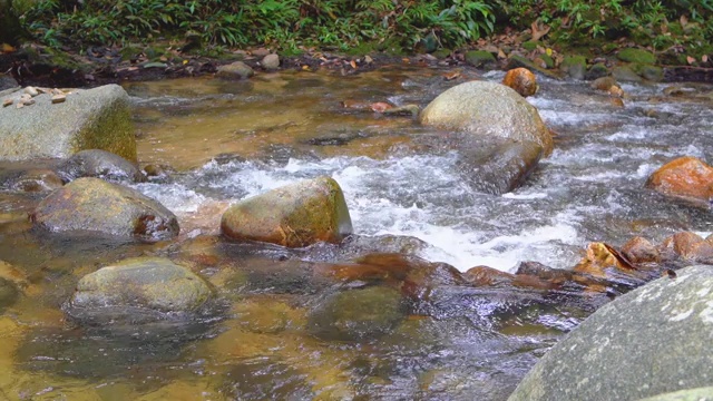 平滑的水流经雨林环境。视频素材