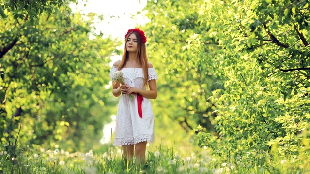 一个女孩拿着一束蒲公英走在森林里。夏天，快乐的女人在公园的草坪上散步。视频素材