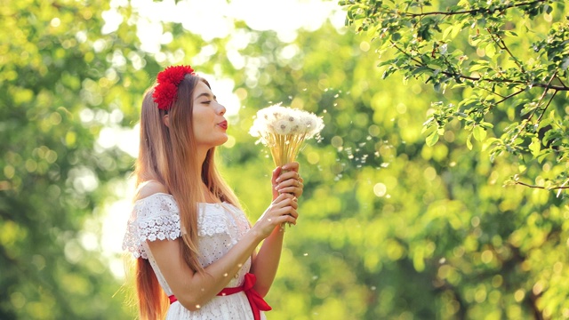 美丽的女孩吹着蒲公英花束。白色的蒲公英飞。肖像的观点。视频素材