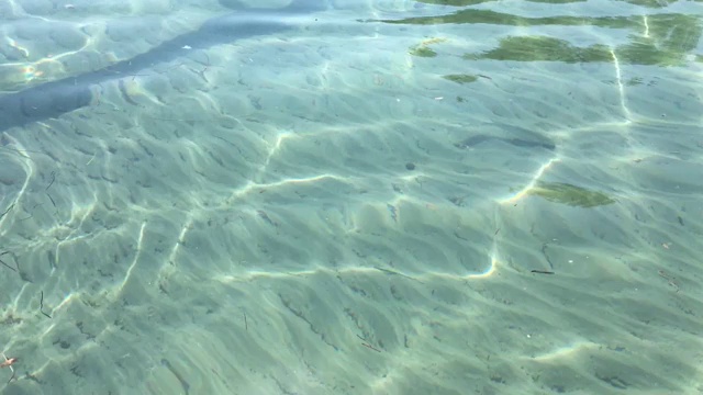 海面上有鱼在水下视频素材