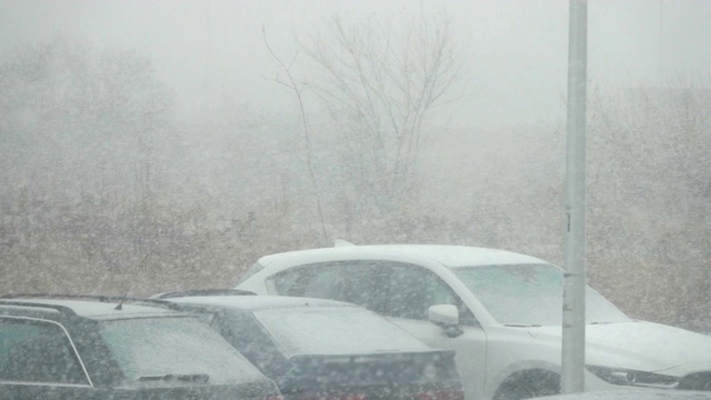 市中心有暴风雪。城市里被雪覆盖的汽车。城市下雪，清晨，窗外景色。雪。的树木,汽车。缓慢的运动。视频素材