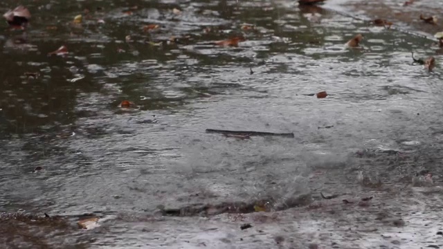 雨落在路上。视频素材