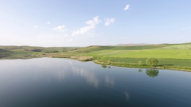 苍穹的绿树在崎岖的黑海面对大海的背景，4k无人机视频视频素材