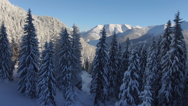 无人机拍摄雪山景观和森林视频素材