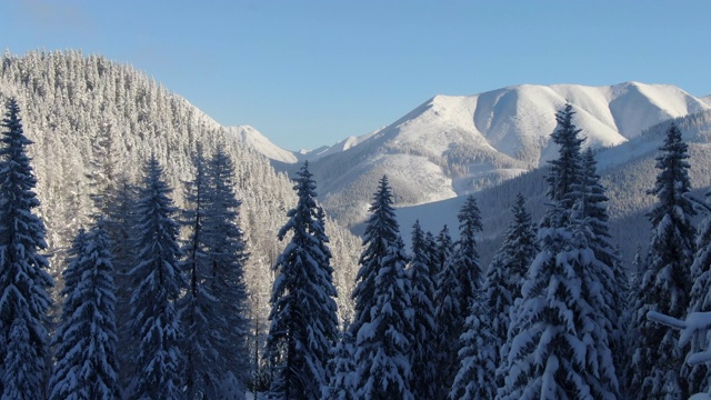 无人机拍摄的雪域森林和冬季山地景观视频素材