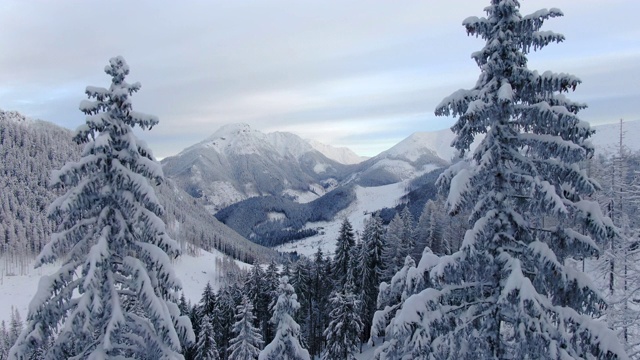 无人机拍摄雪山景观和森林视频素材