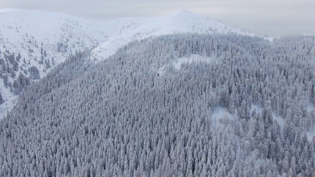 无人机拍摄雪山景观和森林视频素材