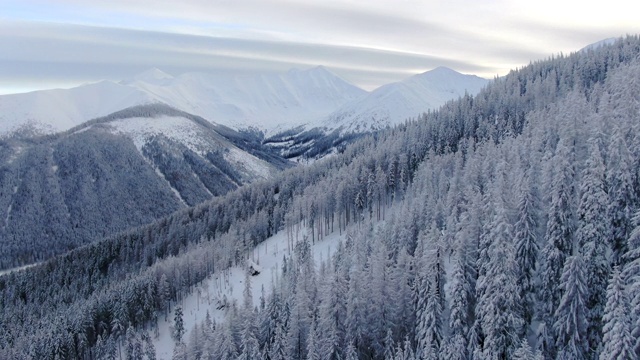 无人机拍摄雪山景观和森林视频素材