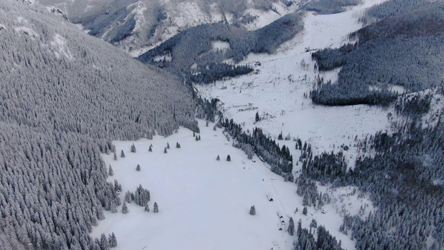 无人机拍摄雪山景观和森林视频素材