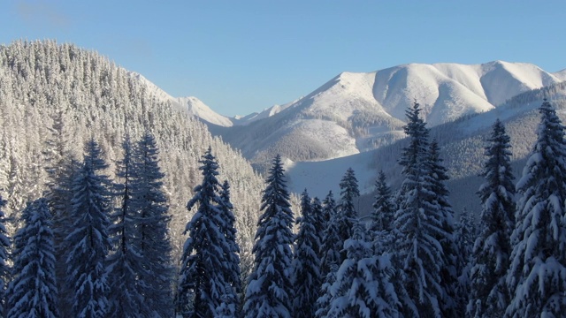 无人机拍摄雪山景观和森林视频素材