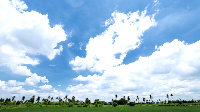 蔚蓝的天空，白云，乡村的稻田视频下载