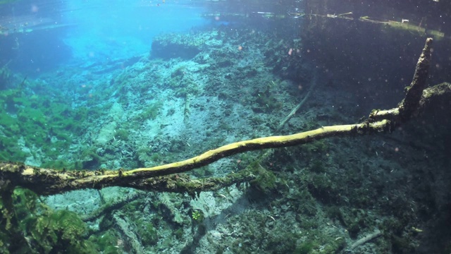 澳大利亚马塔兰卡北领地的苦泉温泉池视频素材