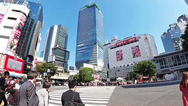 日本东京新宿人行横道斑马线。视频素材