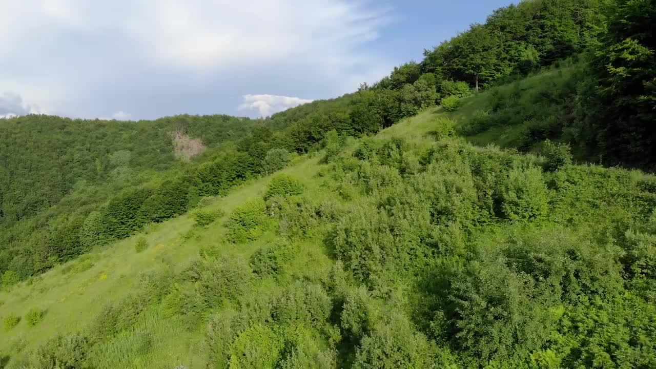 山林鸟瞰图视频素材