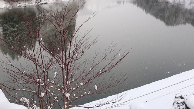 雪落视频素材