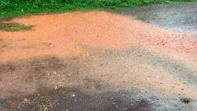 大雨视频素材