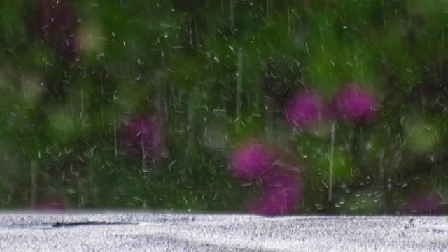 在大雨中，雨滴落在地面上的慢动作视频素材