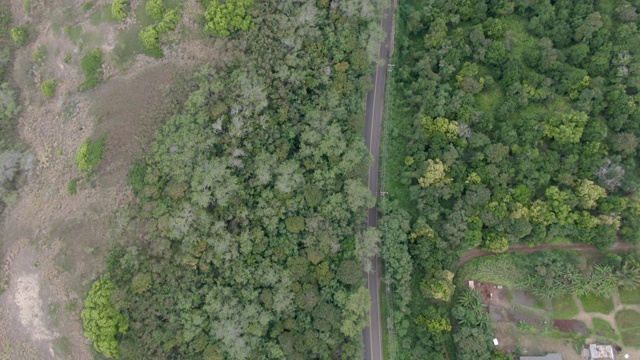 沿着热带的道路视频素材