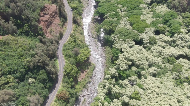 沿河开车穿过热带山谷视频素材