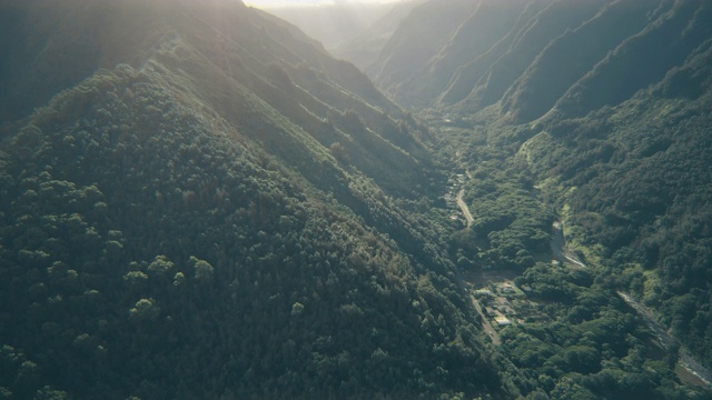 飞过森林，进入山谷视频下载