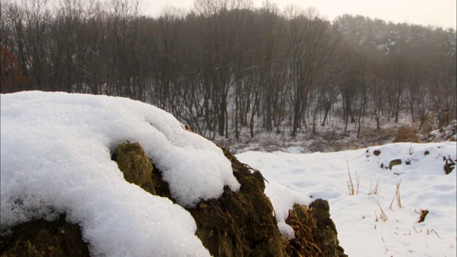 韩国江原道山谷的积雪正在融化视频素材